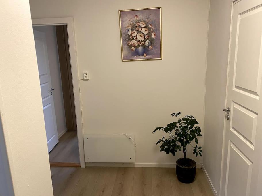 Lovely 2 Bedroom Apartmen With Free Parking Bergen Esterno foto